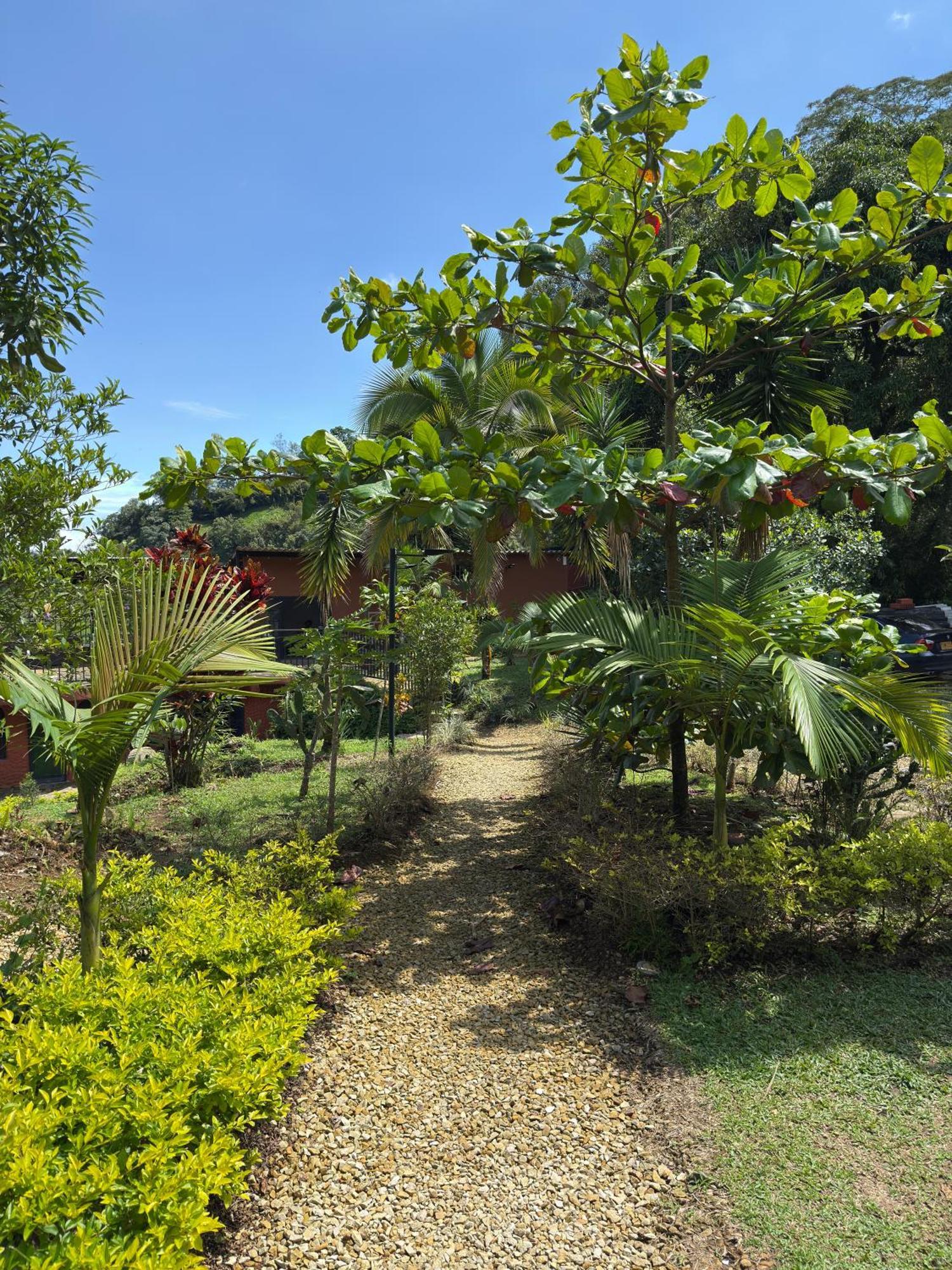 Jaragual Hostel "Eco Hostal" La Vega  Exterior photo